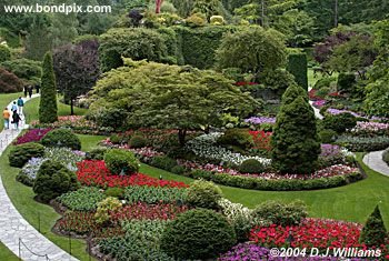 The beautiful Butchart Gardens in Victoria, BC