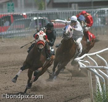 Horse Racing at the Western Montana Fair in Missoula, Montana