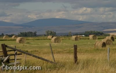 Haystacks in a field in Montana - Round bales of hay and a wooden fence