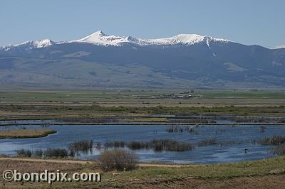 Mount Powell from Warm Springs Ponds, Montana