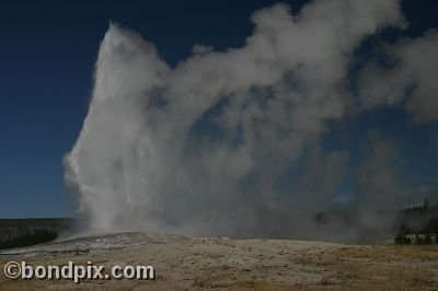 Old Faithful geyser errupts in Yellowstone Park