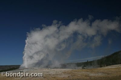 Old Faithful geyser errupts in Yellowstone Park