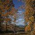 Nature-Autumn colors