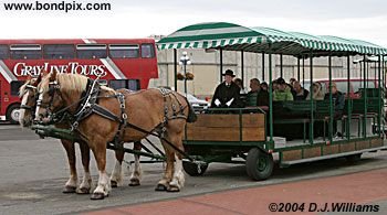 Horse drawn carriage awaits at the dock side in Victoria, BC
