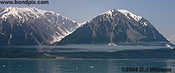 Tongass National rainforest in Alaska