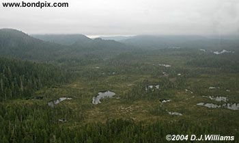 Aerial view of the landscape near Ketchikan Alaska
