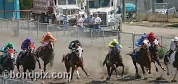 Horse Racing at the Western Montana Fair in Missoula, Montana