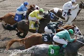 Horse Racing at the Western Montana Fair in Missoula, Montana