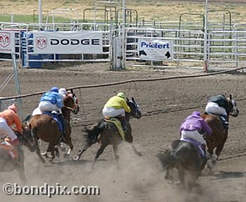 Horse Racing at the Western Montana Fair in Missoula, Montana