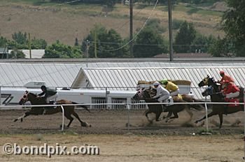 Horse Racing at the Western Montana Fair in Missoula, Montana