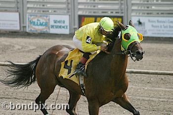 Horse Racing at the Western Montana Fair in Missoula, Montana