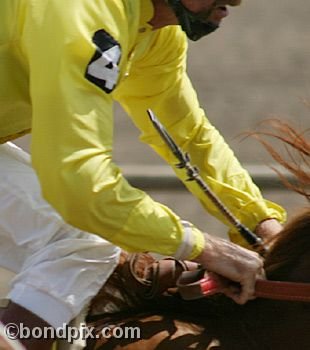 Horse Racing at the Western Montana Fair in Missoula, Montana