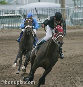 Horse Racing at the Western Montana Fair in Missoula, Montana