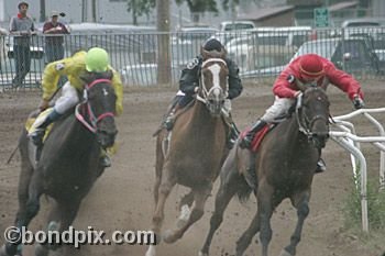 Horse Racing at the Western Montana Fair in Missoula, Montana