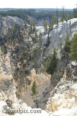 The Grand Canyon of Yellowstone Park
