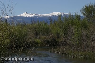 Mount Powell from Warm Springs Ponds, Montana