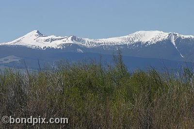 Mount Powell from Warm Springs Ponds, Montana