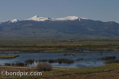 Mount Powell from Warm Springs Ponds, Montana