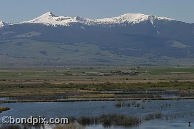 Mount Powell from Warm Springs Ponds, Montana