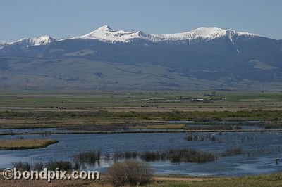 Mount Powell from Warm Springs Ponds, Montana