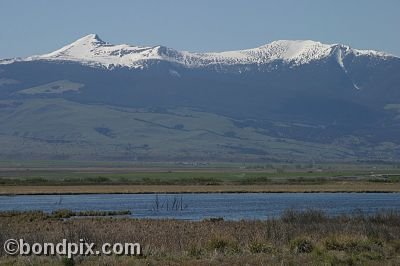 Mount Powell from Warm Springs Ponds, Montana