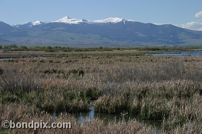 Mount Powell from Warm Springs Ponds, Montana