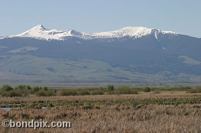 Mount Powell from Warm Springs Ponds, Montana
