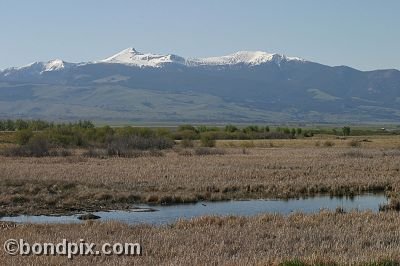 Mount Powell from Warm Springs Ponds, Montana
