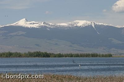 Mount Powell from Warm Springs Ponds, Montana