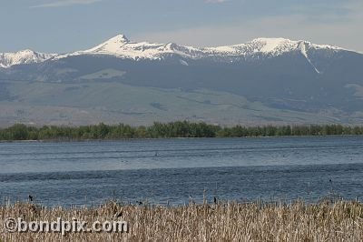 Mount Powell from Warm Springs Ponds, Montana
