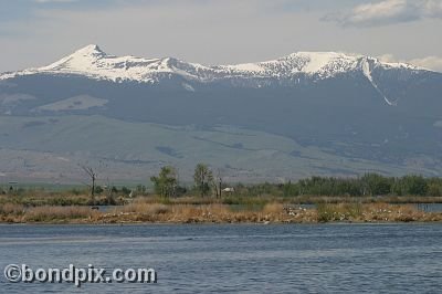 Mount Powell from Warm Springs Ponds, Montana