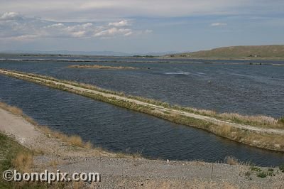 Warm Springs Ponds, Montana