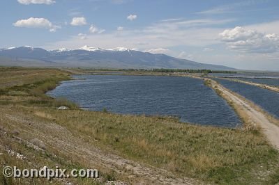 Mount Powell from Warm Springs Ponds, Montana