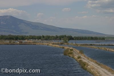 Warm Springs Ponds, Montana