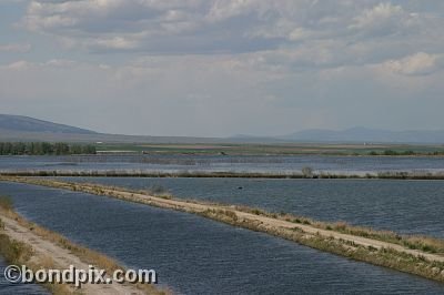 Warm Springs Ponds, Montana