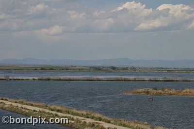 Warm Springs Ponds, Montana
