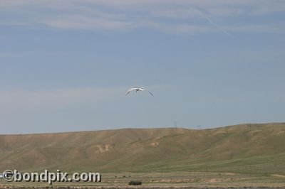 Warm Springs Ponds, Montana