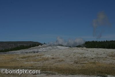 Old Faithful geyser errupts in Yellowstone Park