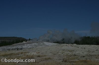 Old Faithful geyser errupts in Yellowstone Park