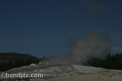 Old Faithful geyser errupts in Yellowstone Park