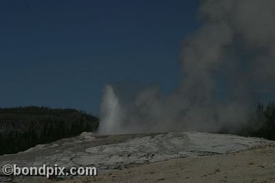 Old Faithful geyser errupts in Yellowstone Park