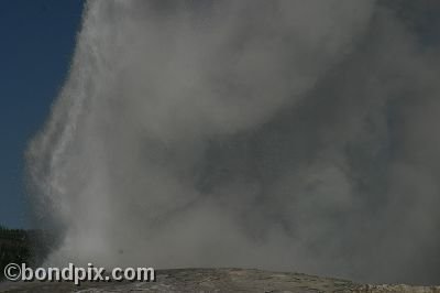 Old Faithful geyser errupts in Yellowstone Park