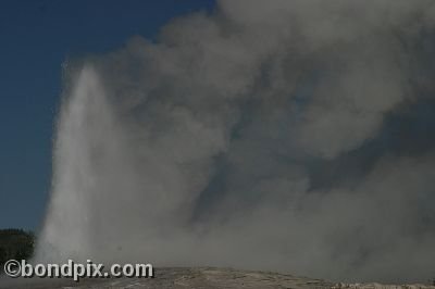 Old Faithful geyser errupts in Yellowstone Park