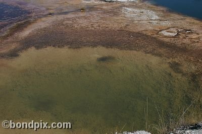Some of the natural features of Yellowstone Park