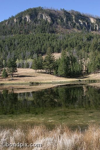 Yellowstone Park