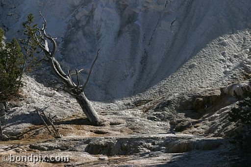 Some of the natural features of Yellowstone Park